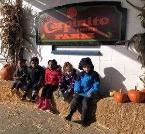 Federal Way Childcare Reviews